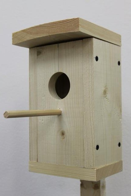 Направете си проста къща за птици, направена от дъски